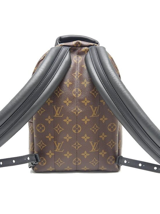 Louis Vuitton Monogram Palm Springs Backpack PM main image 9
